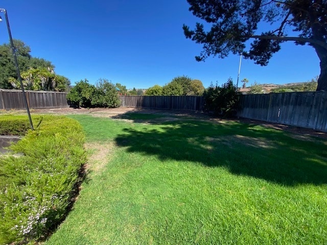 Building Photo - Beautiful Toro Park Home!