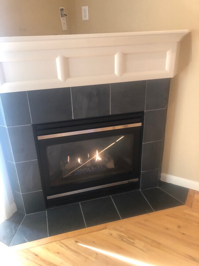Gas Fireplace in Family Room - 1018 Taylor Ave N