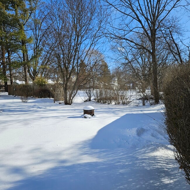 Building Photo - 35 Buffalo St