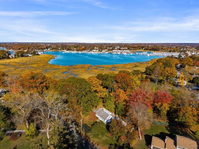 Building Photo - 31 Pawson Rd