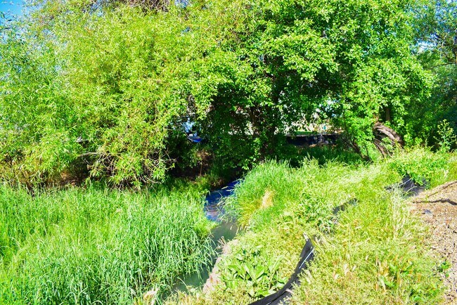 Building Photo - 1995 Sky Park Dr