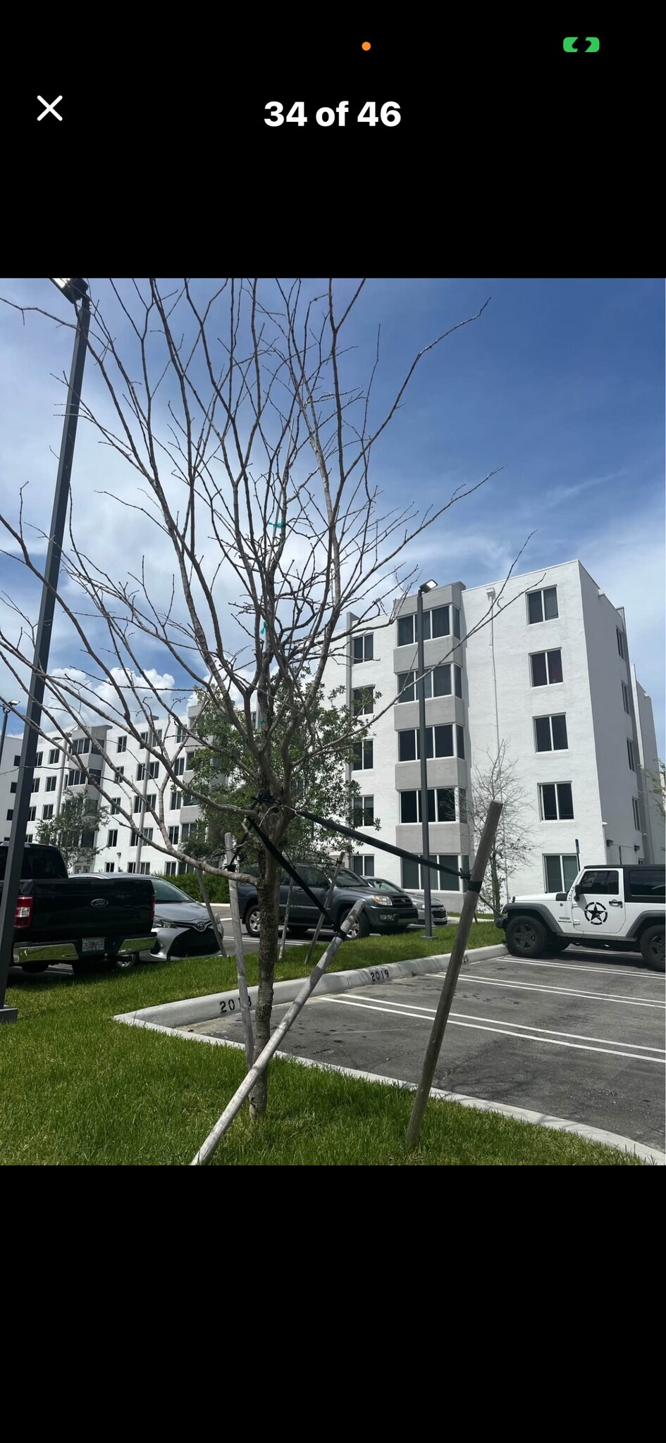 Building Photo - 250 Sunny Isles Blvd