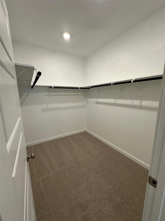 Building Photo - 1908 Velvet Oak Ln