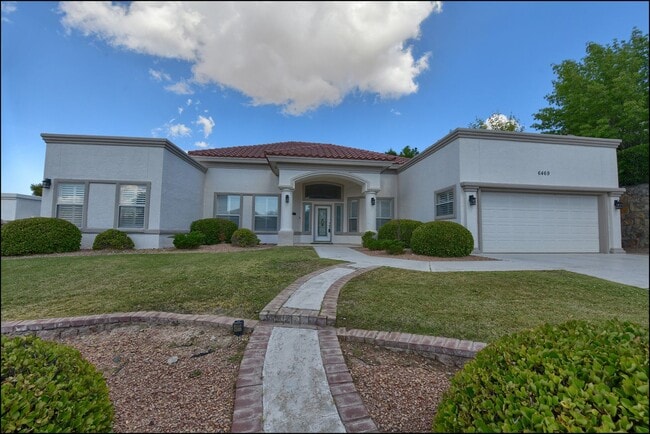 Primary Photo - Available to view!