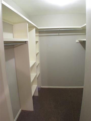 Building Photo - 10406 Shadow Bend Dr
