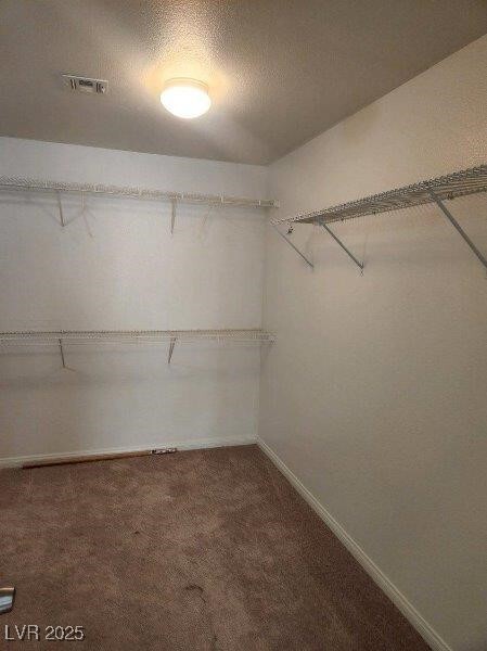 Building Photo - 3608 Tundra Swan St