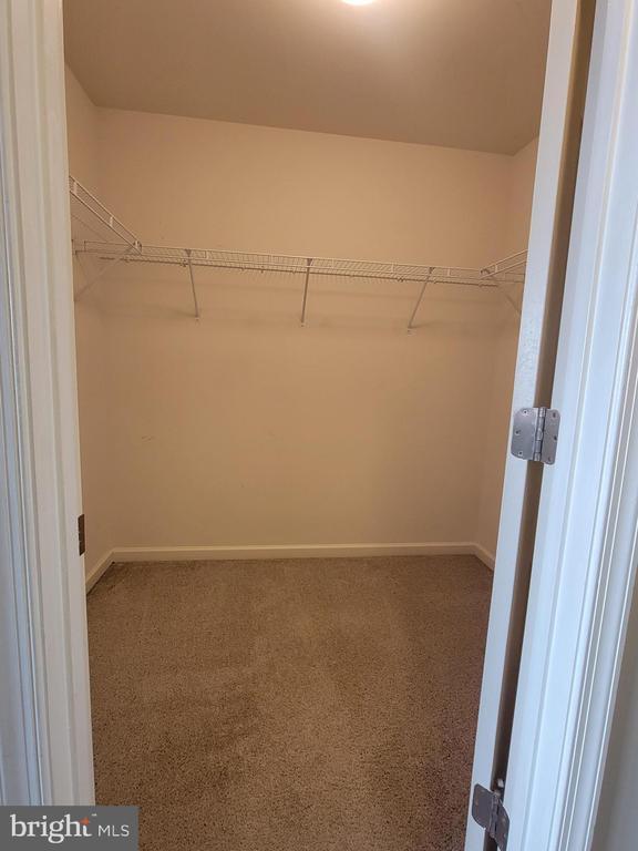 Building Photo - 216 Monticello Square