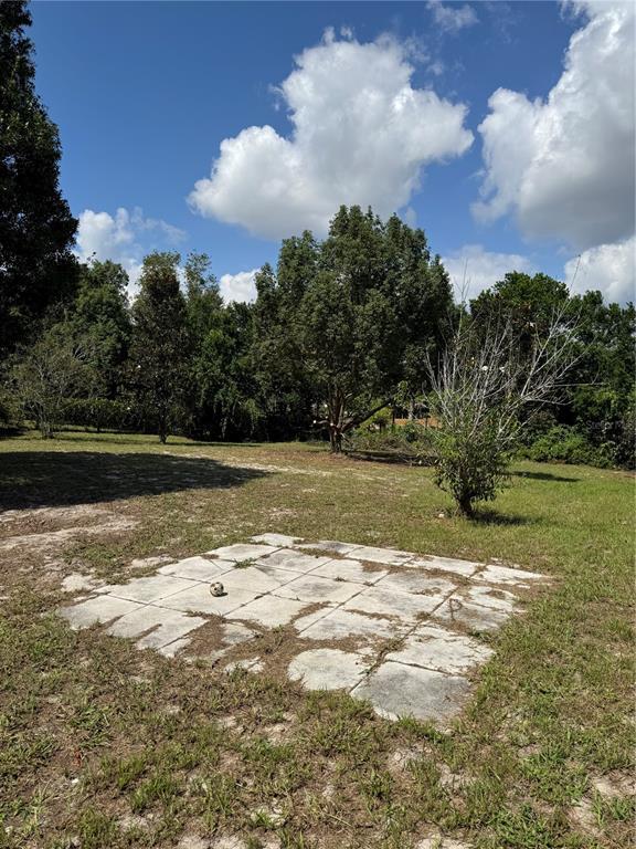 Building Photo - 1560 Bavon Dr