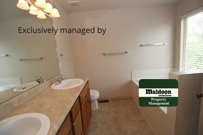 Building Photo - Splendid Wolf Ranch Home! Available Now!