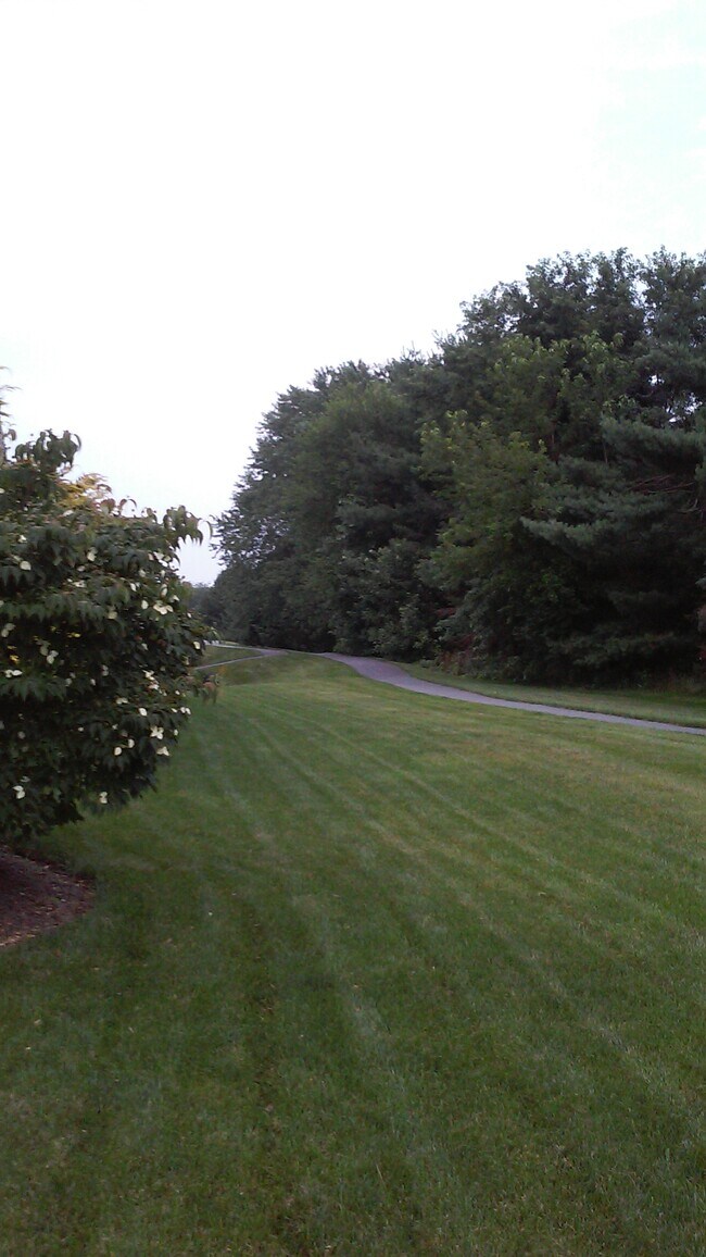 Building Photo - 115 Timber Dr