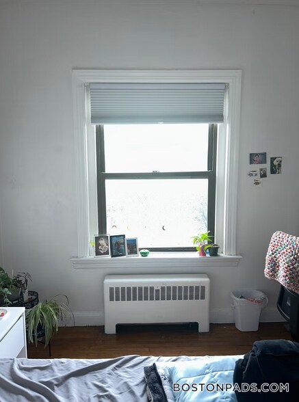 Building Photo - 384 Commonwealth Avenue