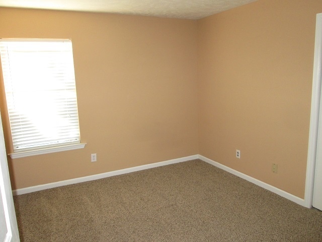 Building Photo - Cozy 3 Bedroom, 2 Bath Home in Saddlebrook