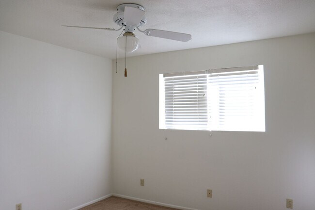 Building Photo - 4207 Calle Barona