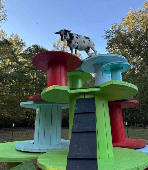Building Photo - 9594 Tusquittee Rd