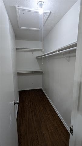 Building Photo - 415 Liberty Pl