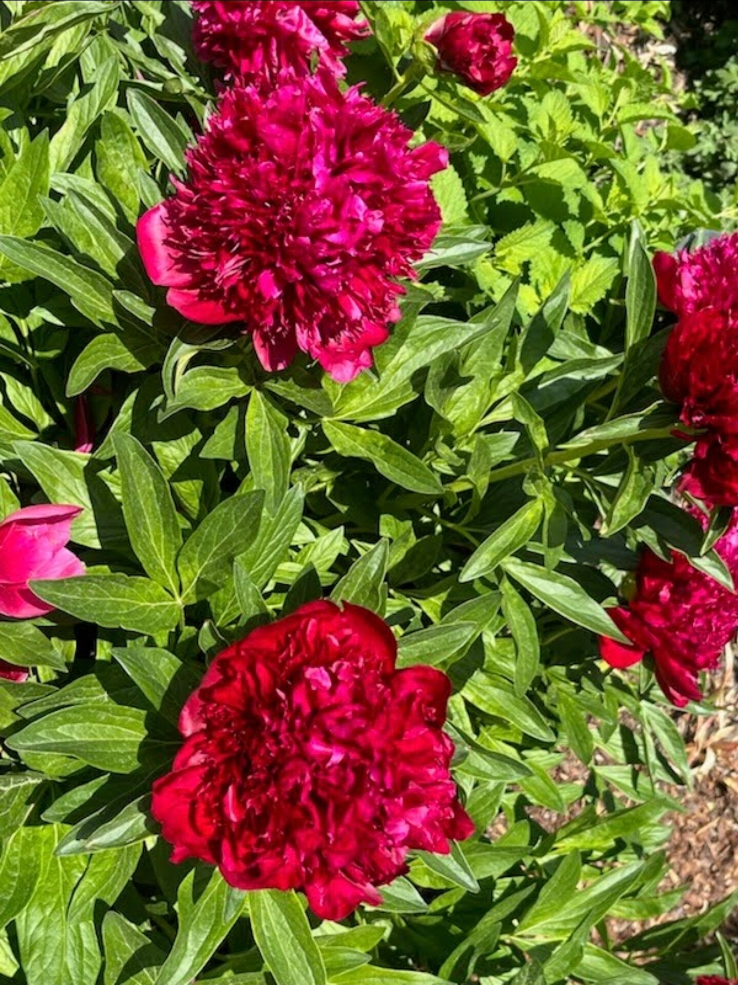 Building Photo - 2934 S Zurich Ct