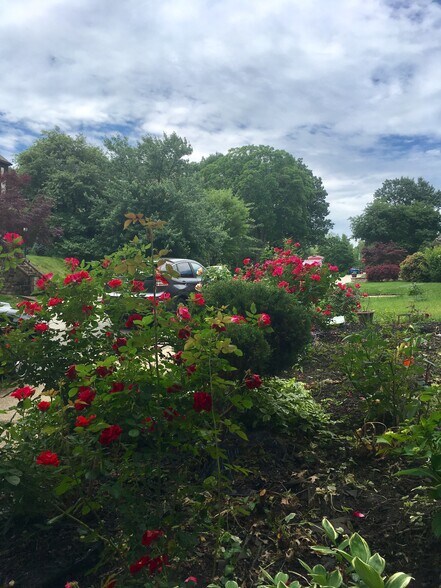 front yard flowers - 5463 Fair Oaks St