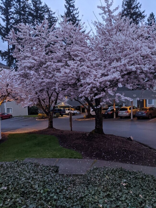 Building Photo - Your Sun-Drenched Redmond Retreat Awaits!