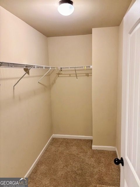 Building Photo - 193 CAMELLIA