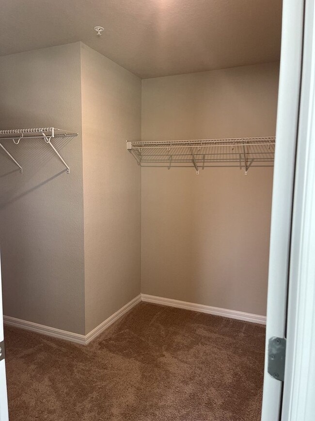 Primary Closet - 2569 Red Spruce Way