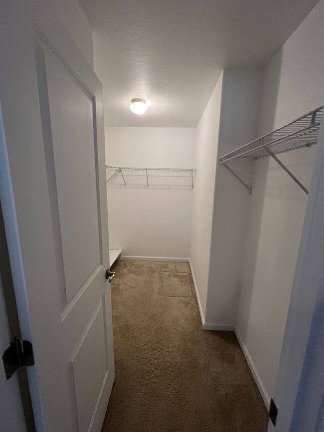 Building Photo - Beautiful 3 bedroom, 2 1/2 bath House with Ocean View!