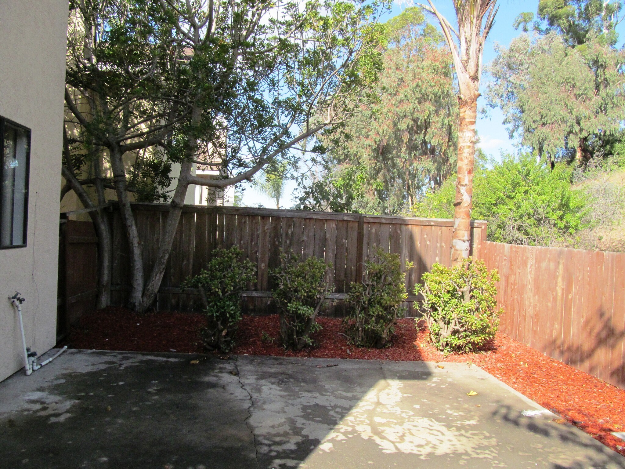 Yard - 11422 Madera Rosa Way