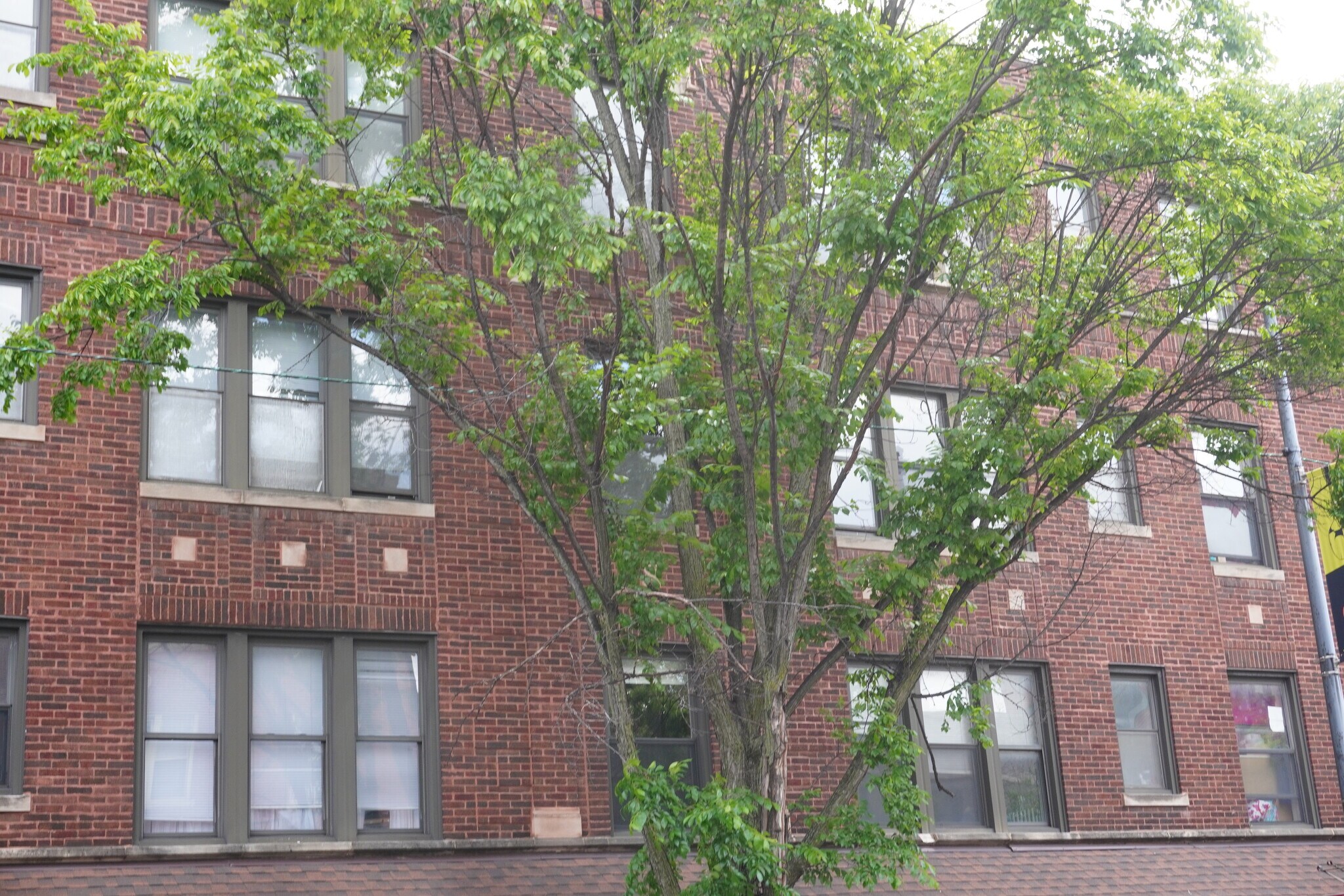 Building Photo - 4107 N Kedzie Ave