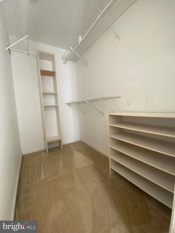 Building Photo - 3963 Captain Molly Cir
