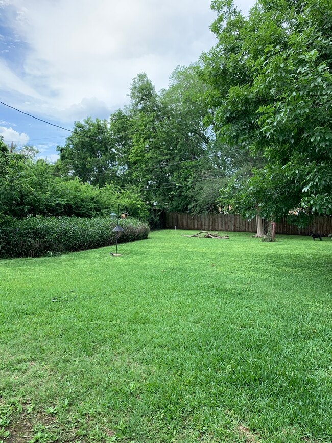 Building Photo - 5322 Saxon Dr