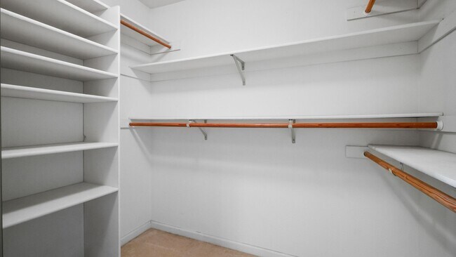 Building Photo - 4 BR/3BA Home in Laurel Creek with Park-Like Backyard!