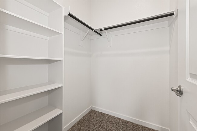 Building Photo - 426 Yellow Dandelion Ln