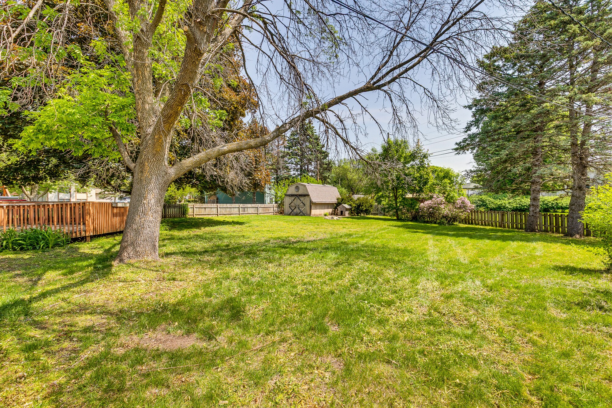 backyard w/fence - 16376 Fishing Ave W