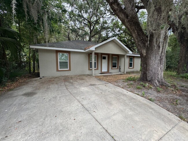 Primary Photo - 4/2 Minutes from UF