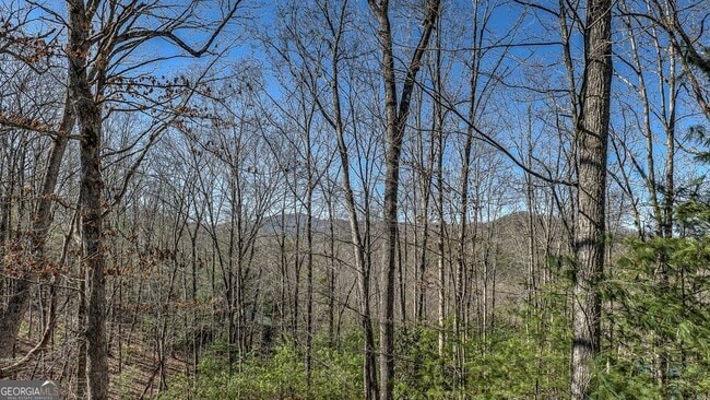 Building Photo - 348 The Forest Has Eyes