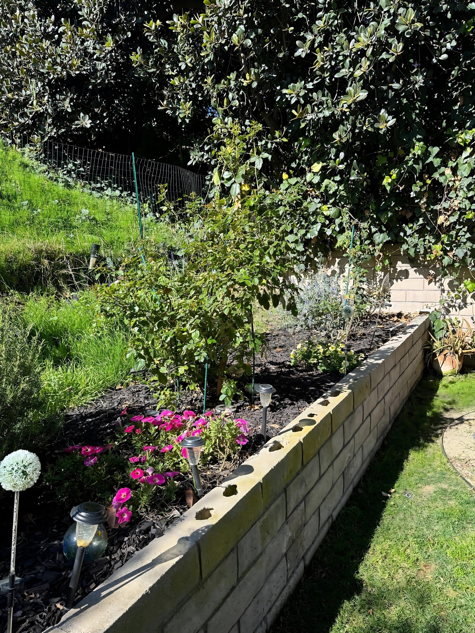 Building Photo - 3018 Oakwood Ln