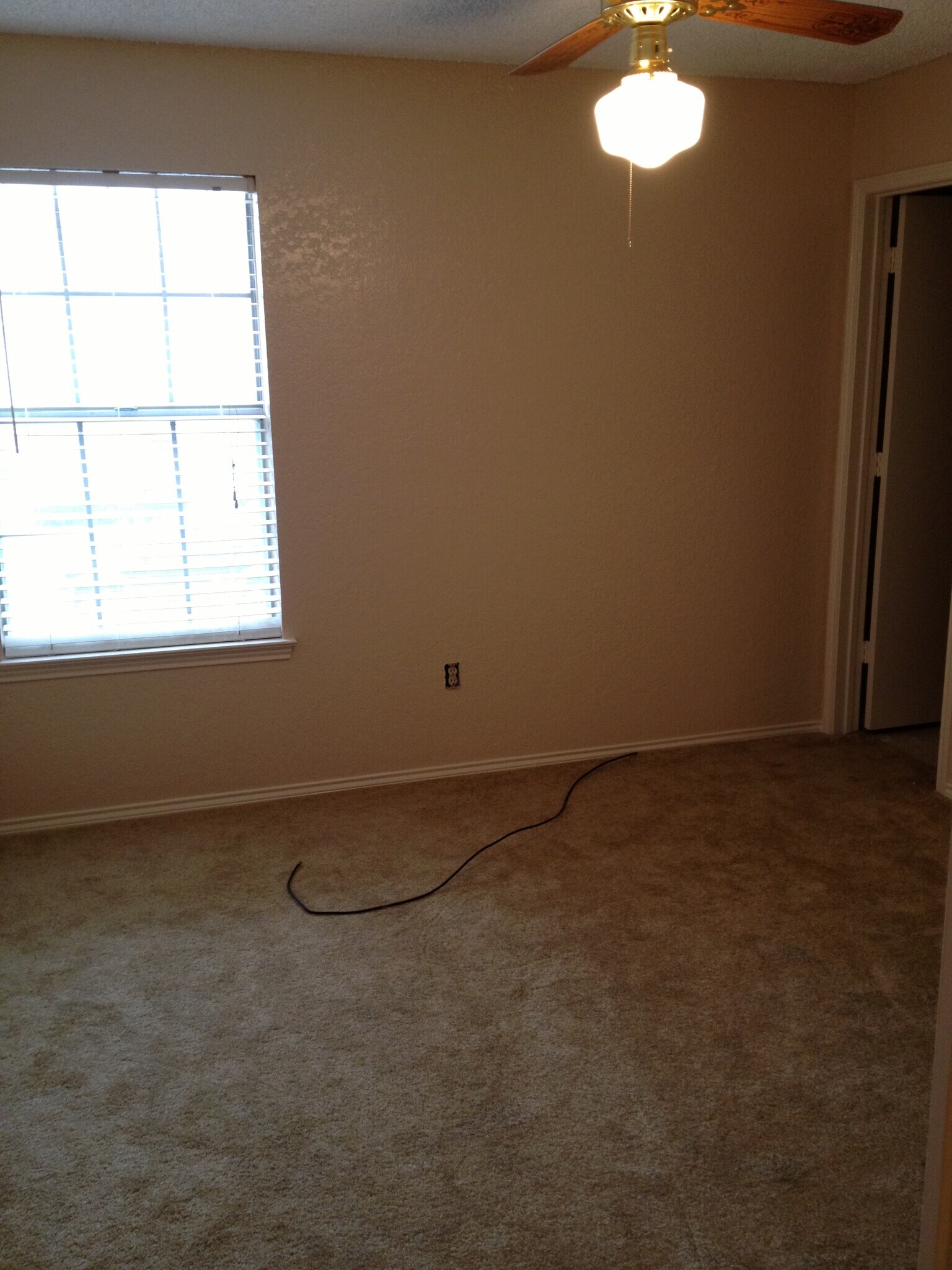 Building Photo - 505 Pecan Acres Ct