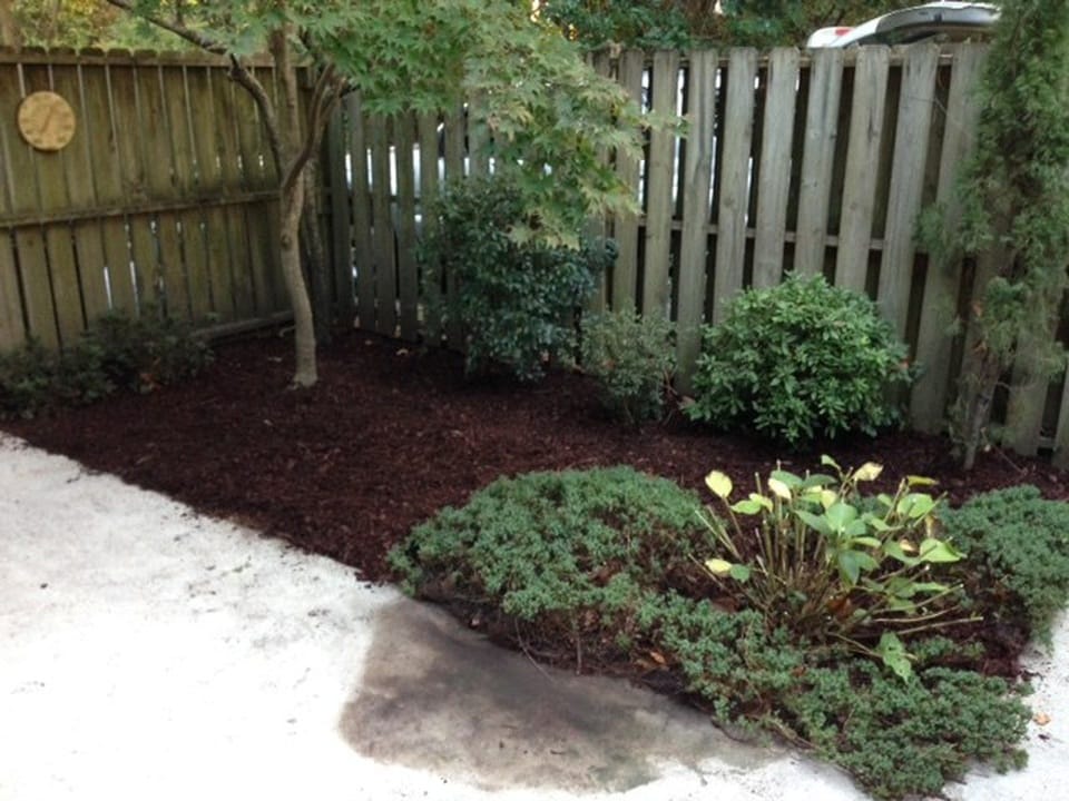 Fenced in patio - 910 Dolphin Ct