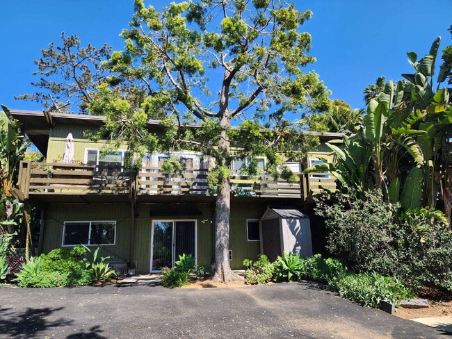 Building Photo - Updated 1BR/1BA apartment