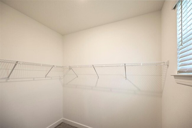 Building Photo - 3806 Savanna Palms Ct