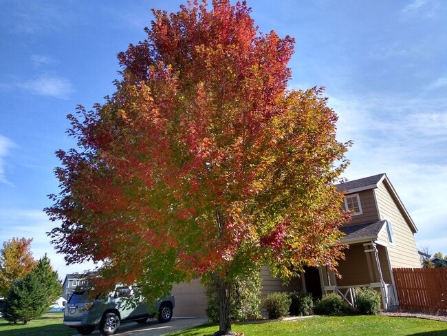 Building Photo - Gorgeous 2 Story 3 Bedroom 2.5 Baths in Da...
