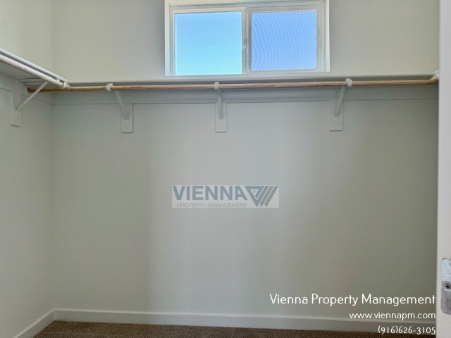 Building Photo - 4696 Snapdragon Wy