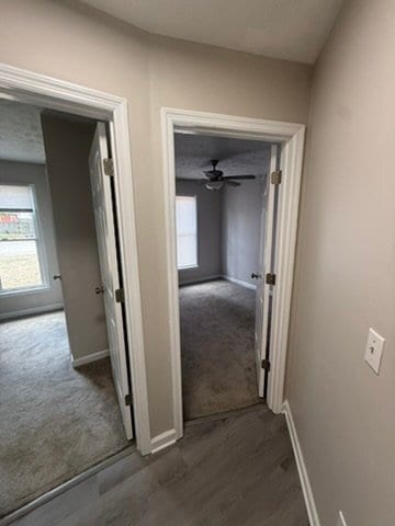 Building Photo - 302 Wapiti Dr