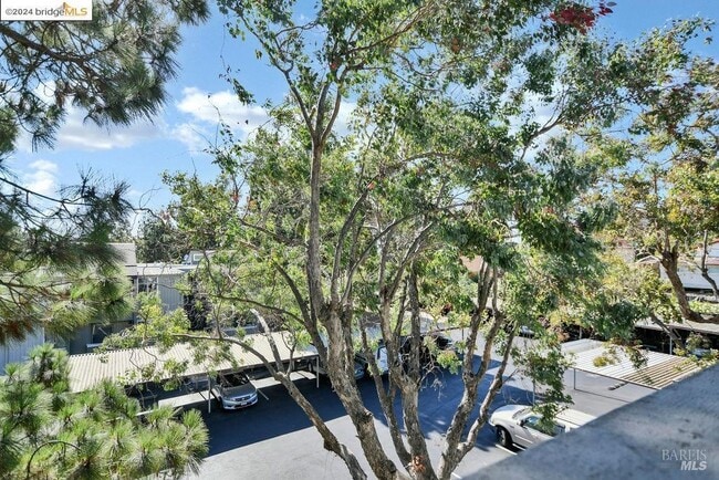 Building Photo - 1333 N Camino Alto