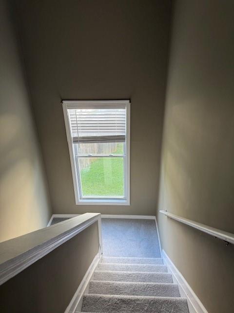 Building Photo - 3405 Briaroak Dr