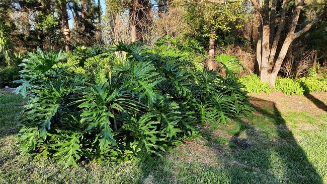 Building Photo - 58 Burning Bush Dr