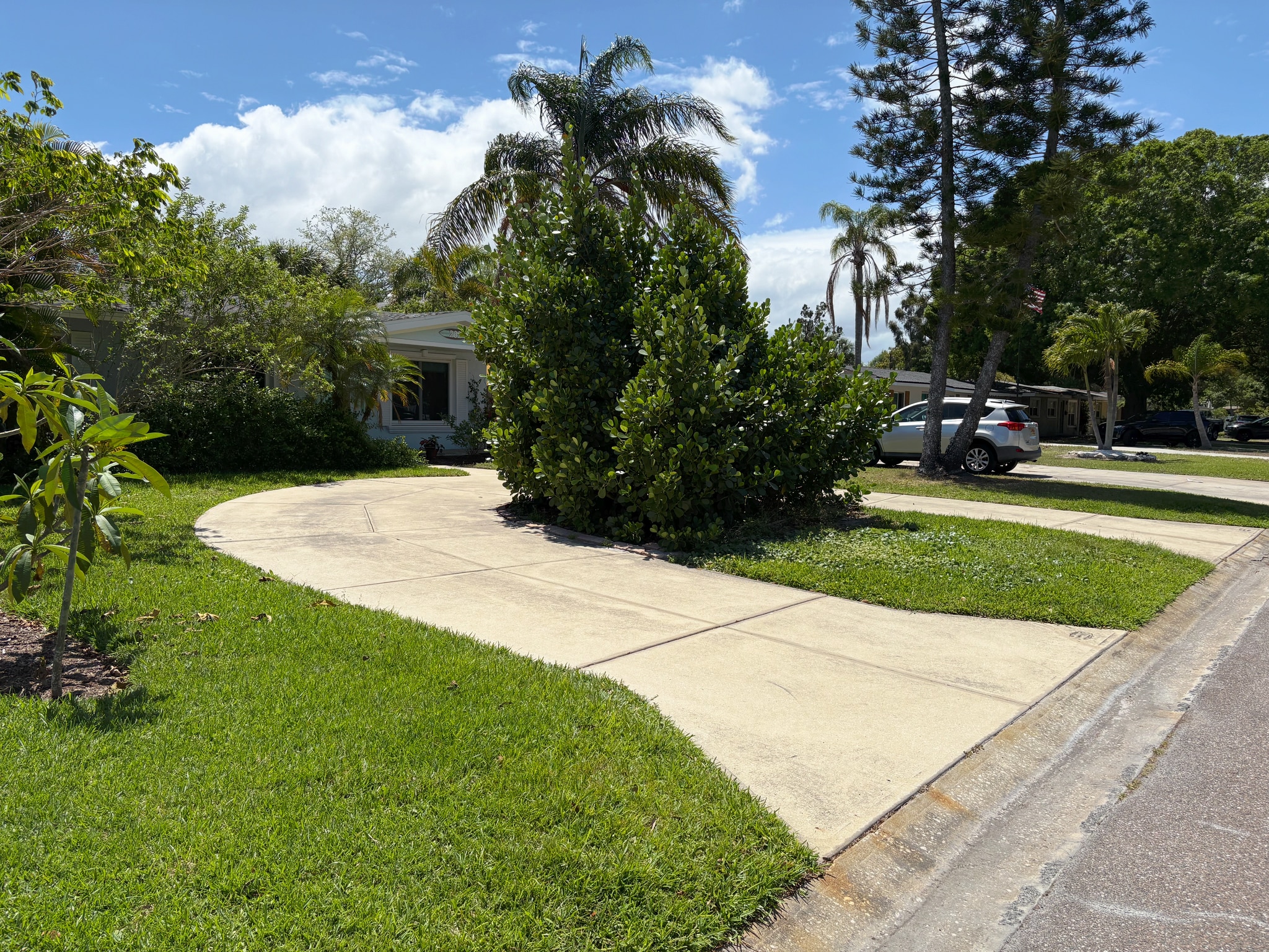 Circular Driveway - 262 43rd Ave NE