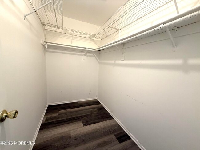 Building Photo - 523 Manchester Pl