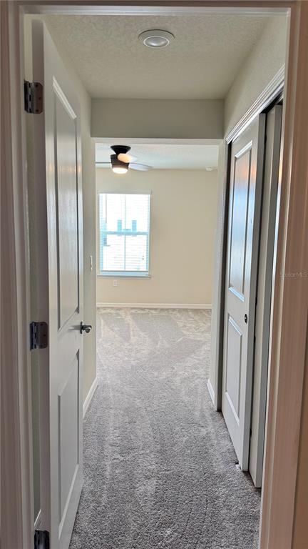 Building Photo - 3167 Emerald Acrs Ln