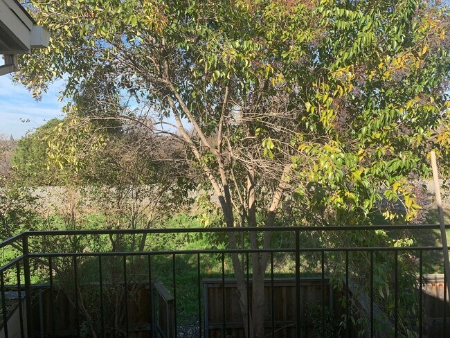 Building Photo - The American River is your backyard! 2 Bedroom 2.5 Bath Townhome