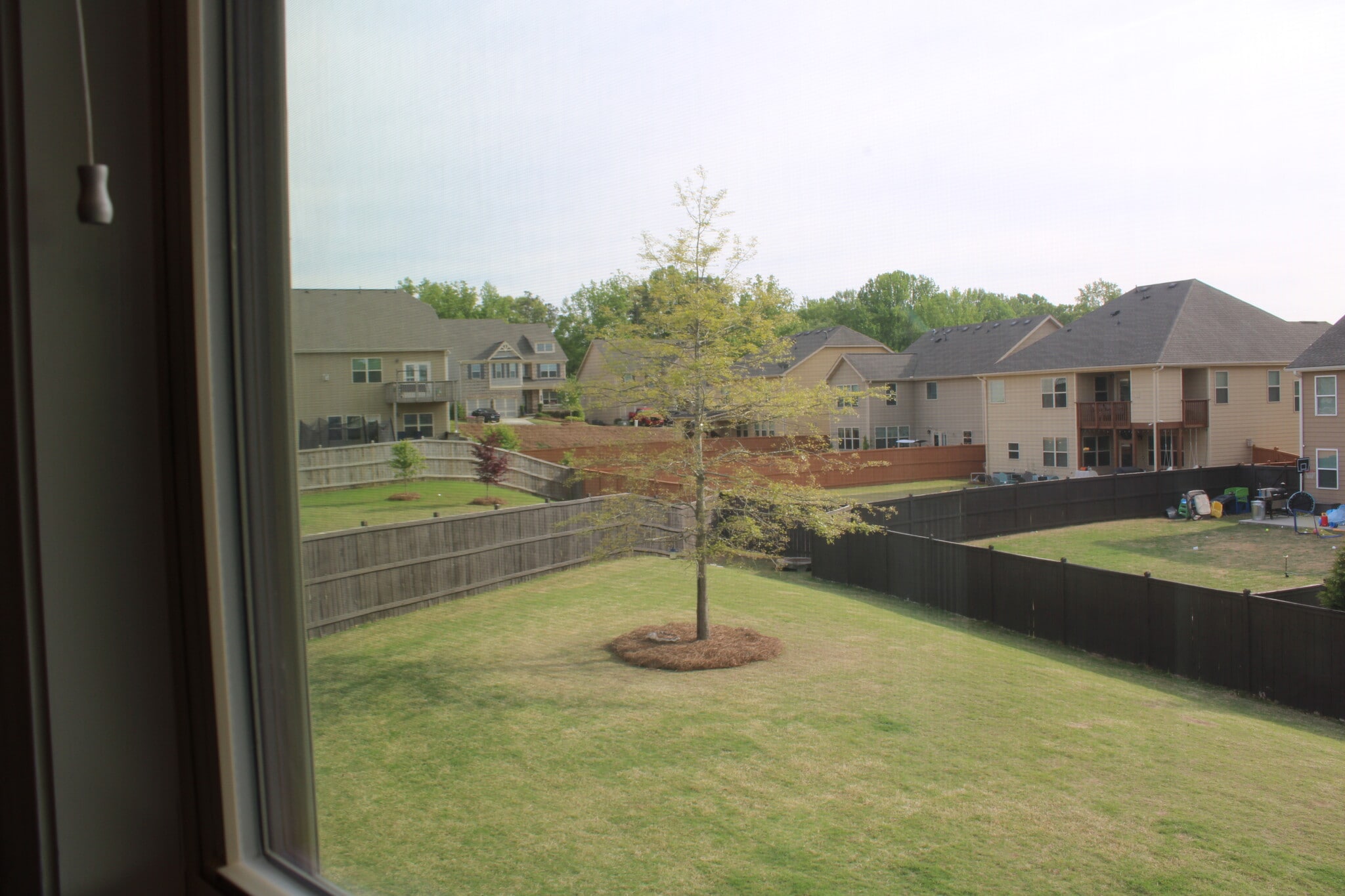 Backyard view 1 - 2940 Furlong Ct